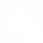 falcon_web